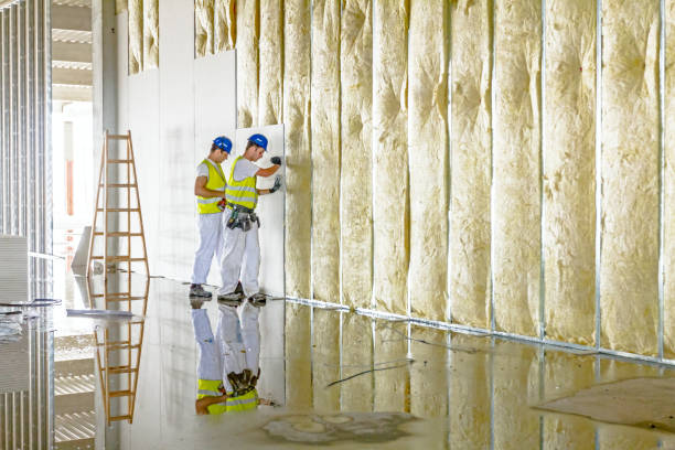Best Geographic-Specific Insulation Services in Newaygo, MI